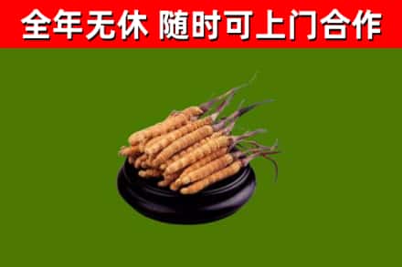 浮山烟酒回收冬虫夏草.jpg